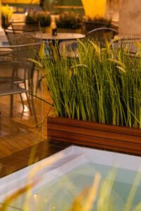 Elamus Spa rohelus. Kunsttaimed Forgreenerlife.com