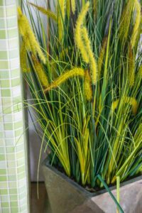 Elamus Spa rohelus. Kunsttaimed Forgreenerlife.com