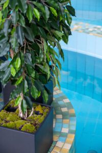 Elamus Spa rohelus. Kunsttaimed Forgreenerlife.com