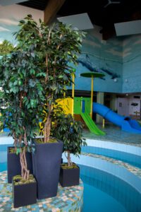 Elamus Spa rohelus. Kunsttaimed Forgreenerlife.com