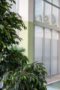 Elamus Spa rohelus. Kunsttaimed Forgreenerlife.com