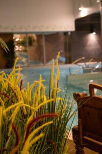 Elamus Spa rohelus. Kunsttaimed Forgreenerlife.com