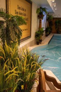 Elamus Spa rohelus. Kunsttaimed Forgreenerlife.com