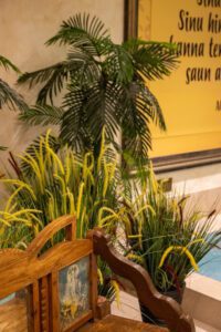 Elamus Spa rohelus. Kunsttaimed Forgreenerlife.com