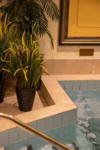 Elamus Spa rohelus. Kunsttaimed Forgreenerlife.com