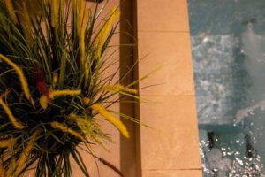 Elamus Spa rohelus. Kunsttaimed Forgreenerlife.com