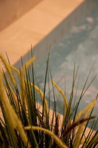 Elamus Spa rohelus. Kunsttaimed Forgreenerlife.com