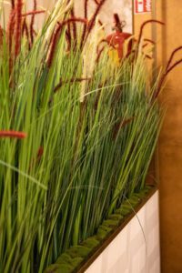 Elamus Spa rohelus. Kunsttaimed Forgreenerlife.com