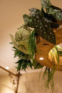 Elamus Spa rohelus. Kunsttaimed Forgreenerlife.com