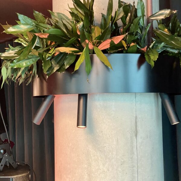 04AD92A8-367F-4087-8C97-88DBA2316BFC