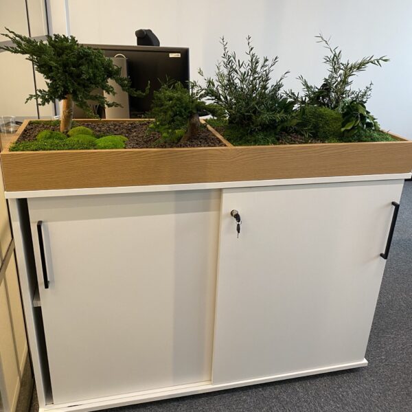 Taimekast säilitatud ja kunsttaimedest kontorisse Forgreenerlife.com