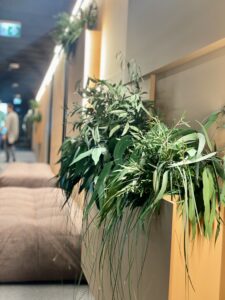 Nordecon Betoon kontor taimekastid. Forgreenerlife.com