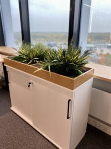 Plantbox to office from preserved and artifical plants