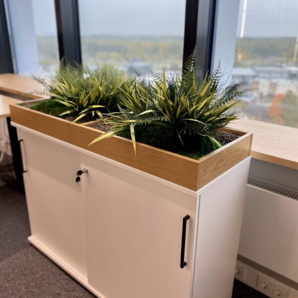 Plantbox to office from preserved and artifical plants