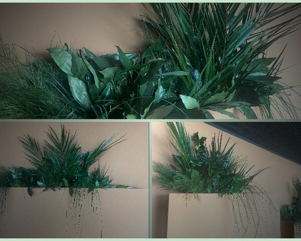 12D0BFD3-5BE2-4C5A-AAA2-986F7D8608A9