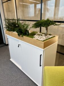 Taimekast säilitatud ja kunsttaimedest kontorisse Forgreenerlife.com