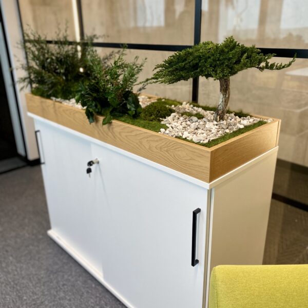 Taimekast säilitatud ja kunsttaimedest kontorisse Forgreenerlife.com