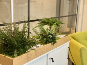 Taimekast säilitatud ja kunsttaimedest kontorisse Forgreenerlife.com