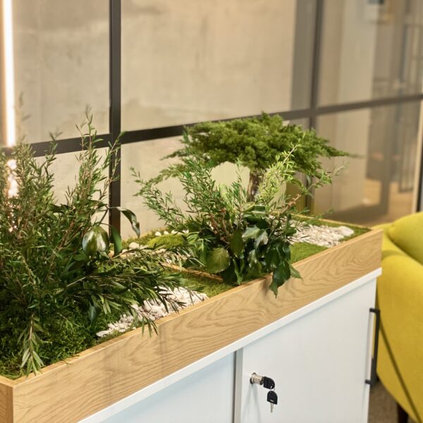 Taimekast säilitatud ja kunsttaimedest kontorisse Forgreenerlife.com