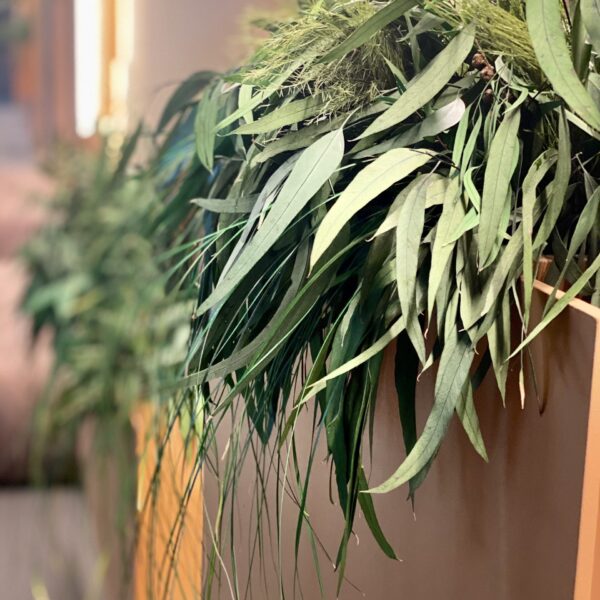 Nordecon Betoon kontor taimekastid. Forgreenerlife.com