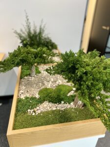 Taimekast säilitatud ja kunsttaimedest kontorisse Forgreenerlife.com