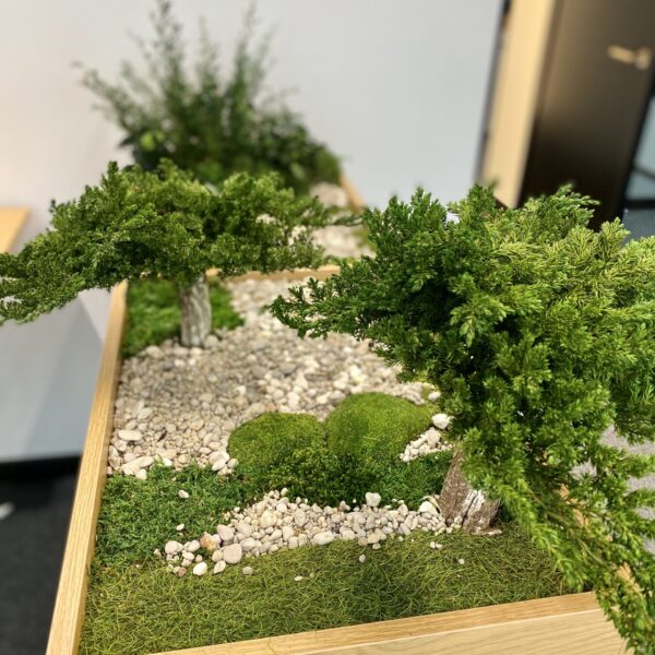 Taimekast säilitatud ja kunsttaimedest kontorisse Forgreenerlife.com