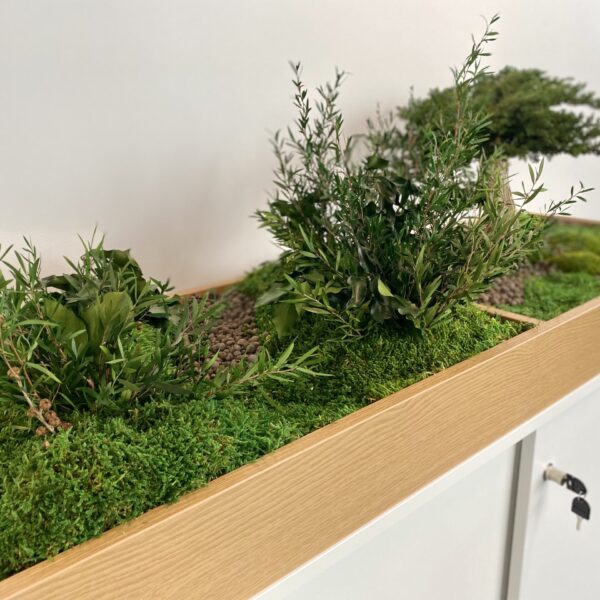 51E85DA3-12B4-4F27-ABC8-950BE3B0BBD6