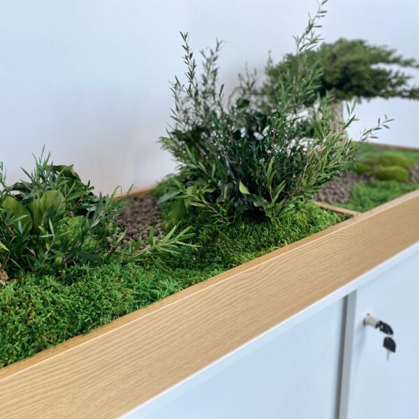 Taimekast säilitatud ja kunsttaimedest kontorisse Forgreenerlife.com