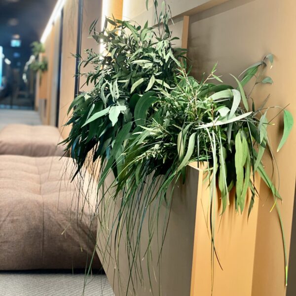 55C63EC8-2556-49A6-97C3-887C144B4559