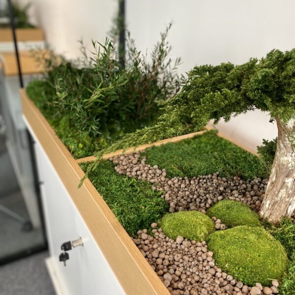 Taimekast säilitatud ja kunsttaimedest kontorisse Forgreenerlife.com