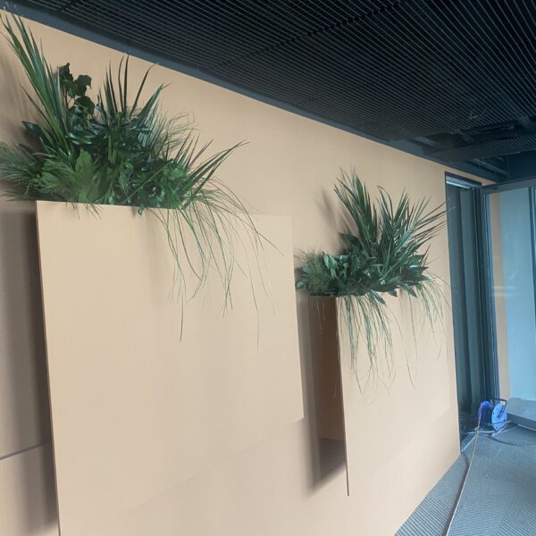 69BCBEB5-EF0C-4CD4-969E-AC95B89143C5