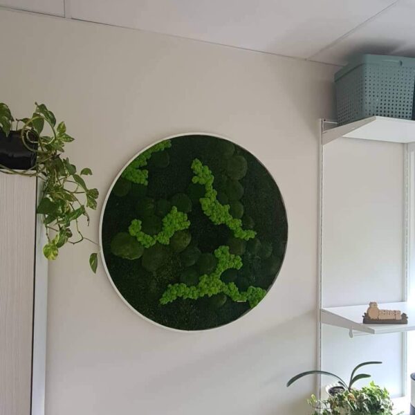 Lilleküla Gümnaasium erinevatest samblikest ümmargune pilt. Forgreenerlife.com