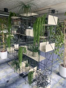 Säilitatud taimed riiulisse. Forgreenerlife.com taimed kontorisse.