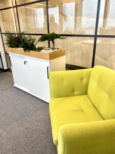 Plantbox to office from preserved and artifical plants