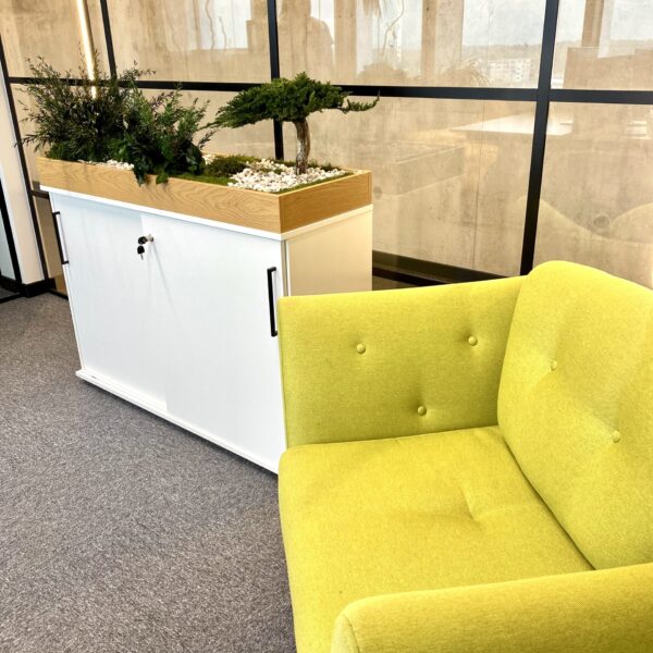 Plantbox to office from preserved and artifical plants