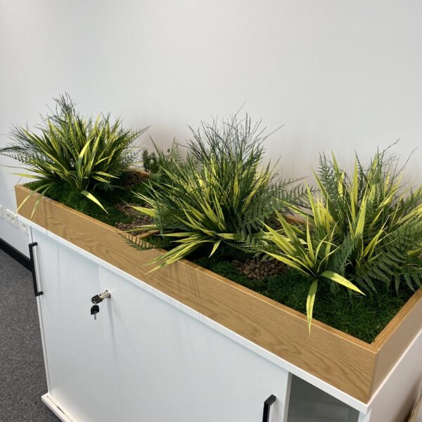 880979A5-A34C-4997-98FF-9ACCDB05551F