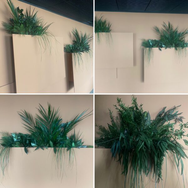 8AB2C772-A227-4E50-AC0A-AB889A673139