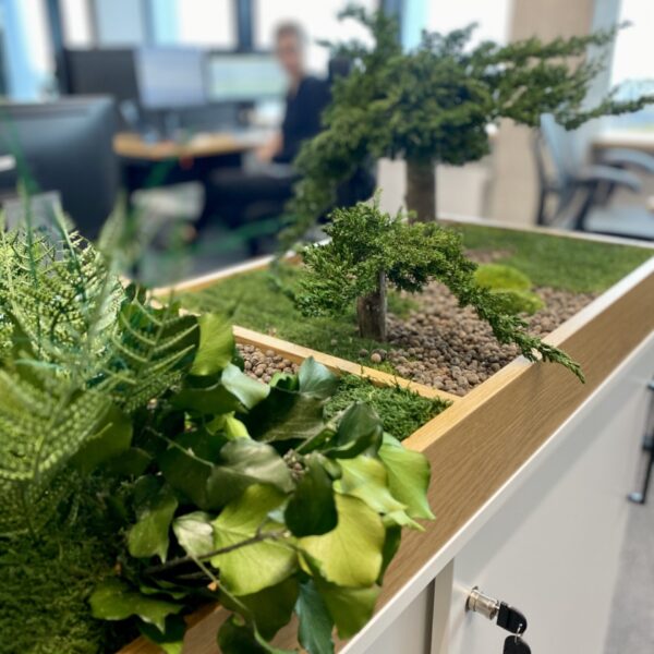 935E6C20-25F0-48BB-A082-498A68CDDFD2