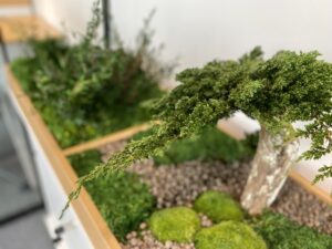 Taimekast säilitatud ja kunsttaimedest kontorisse Forgreenerlife.com