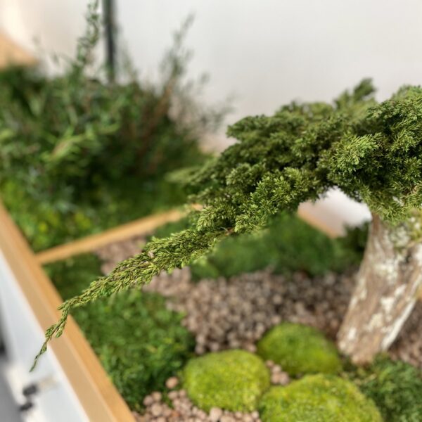 Taimekast säilitatud ja kunsttaimedest kontorisse Forgreenerlife.com