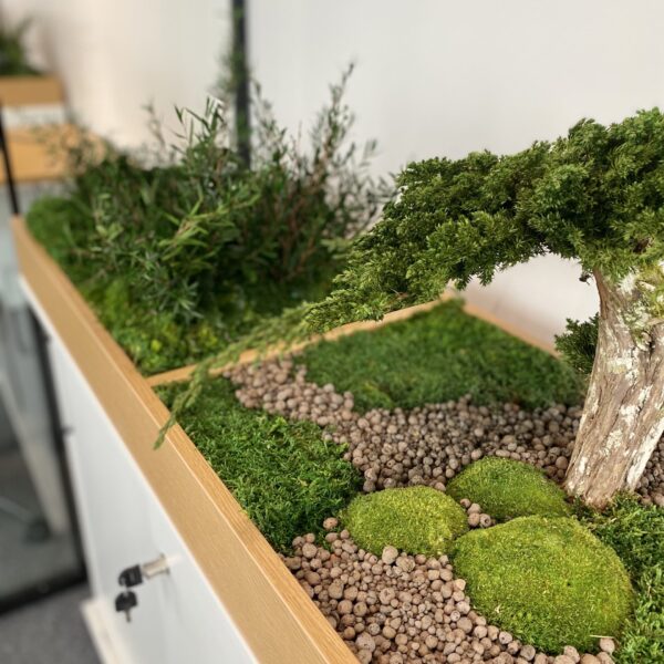 A408F3E2-DC60-4A1F-8911-8E7416028636