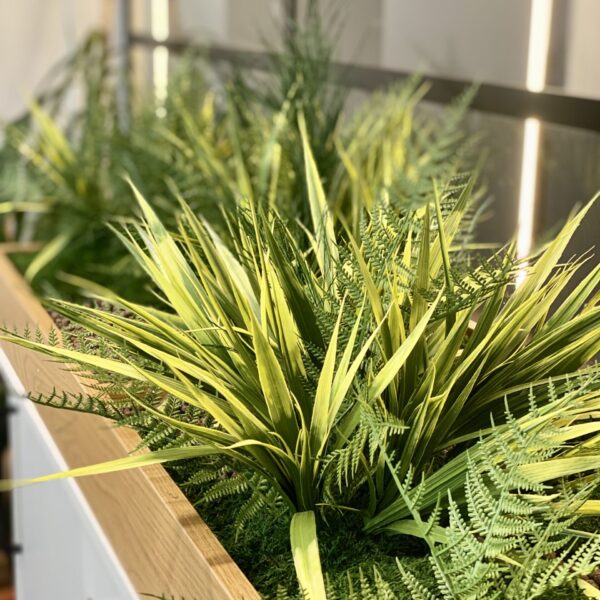 Taimekast säilitatud ja kunsttaimedest kontorisse Forgreenerlife.com