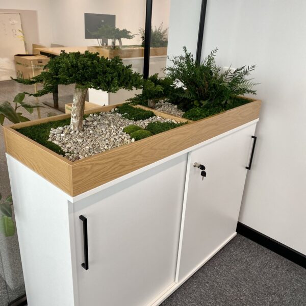 Taimekast säilitatud ja kunsttaimedest kontorisse Forgreenerlife.com