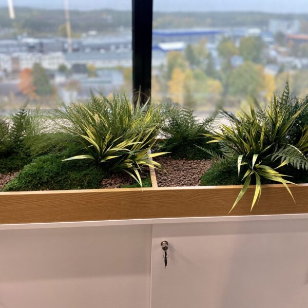 Taimekast säilitatud ja kunsttaimedest kontorisse Forgreenerlife.com