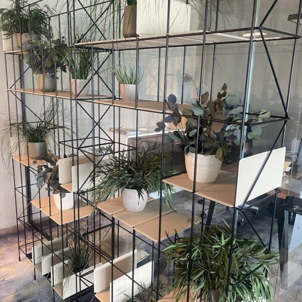 Säilitatud taimed riiulisse. Forgreenerlife.com taimed kontorisse.