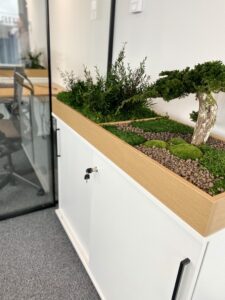 Taimekast säilitatud ja kunsttaimedest kontorisse Forgreenerlife.com