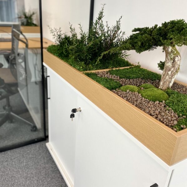 Taimekast säilitatud ja kunsttaimedest kontorisse Forgreenerlife.com