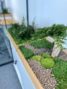 Taimekast säilitatud ja kunsttaimedest kontorisse Forgreenerlife.com