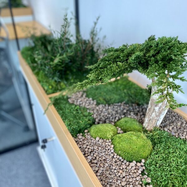 Taimekast säilitatud ja kunsttaimedest kontorisse Forgreenerlife.com