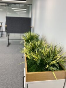 Taimekast kontorisse